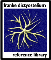 ourlogo
